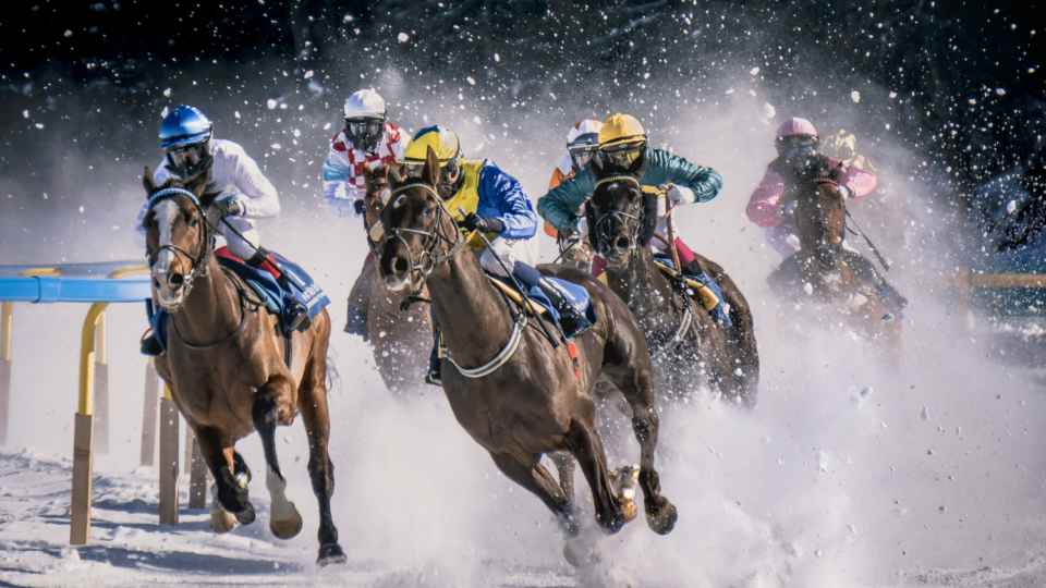 Horseracing in snow